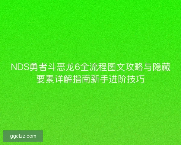 NDS勇者斗恶龙6全流程图文攻略与隐藏要素详解指南新手进阶技巧