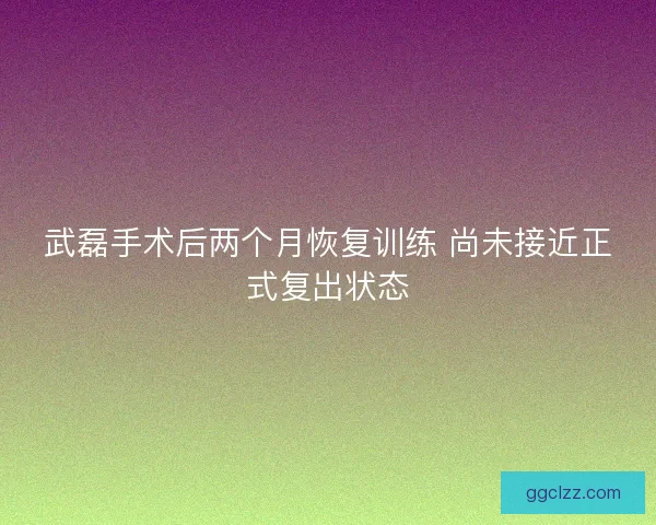 武磊手术后两个月恢复训练 尚未接近正式复出状态