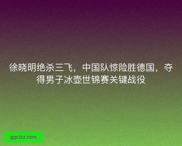 徐晓明绝杀三飞,中国队惊险胜德国,夺得男子冰壶世锦赛关键战役 徐晓明绝杀三飞,中国队惊险胜德国,夺得男子冰壶世锦赛关键战役