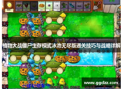 植物大战僵尸生存模式泳池无尽版通关技巧与战略详解